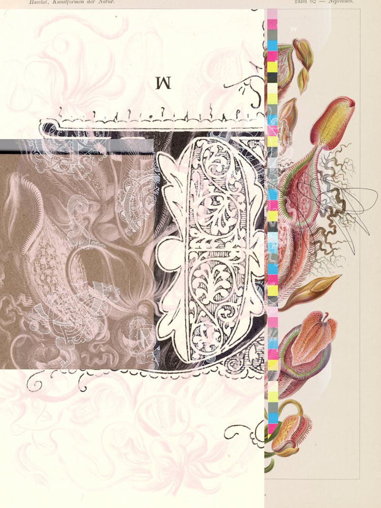 Daydream Sign Mix Floral+