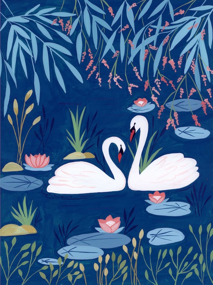 Midnight Swans