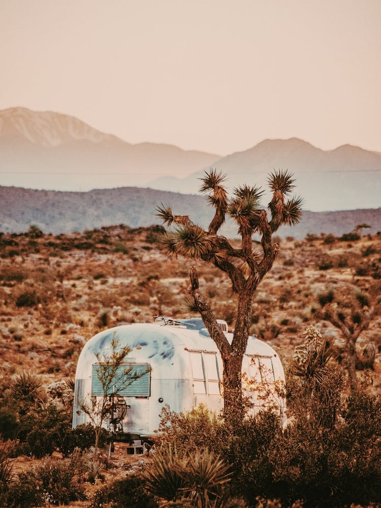 Joshua Tree Camper