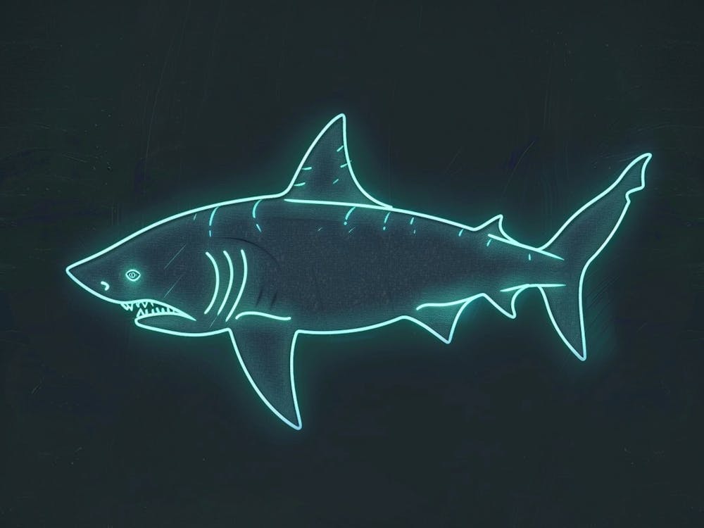 Neon Isistius Genus Shark 4