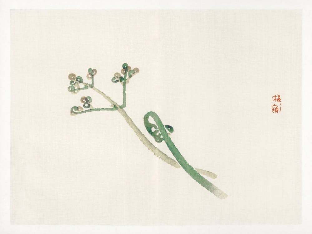 Blossom, Kōno Bairei