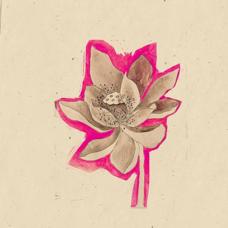 Lotus Flower 1