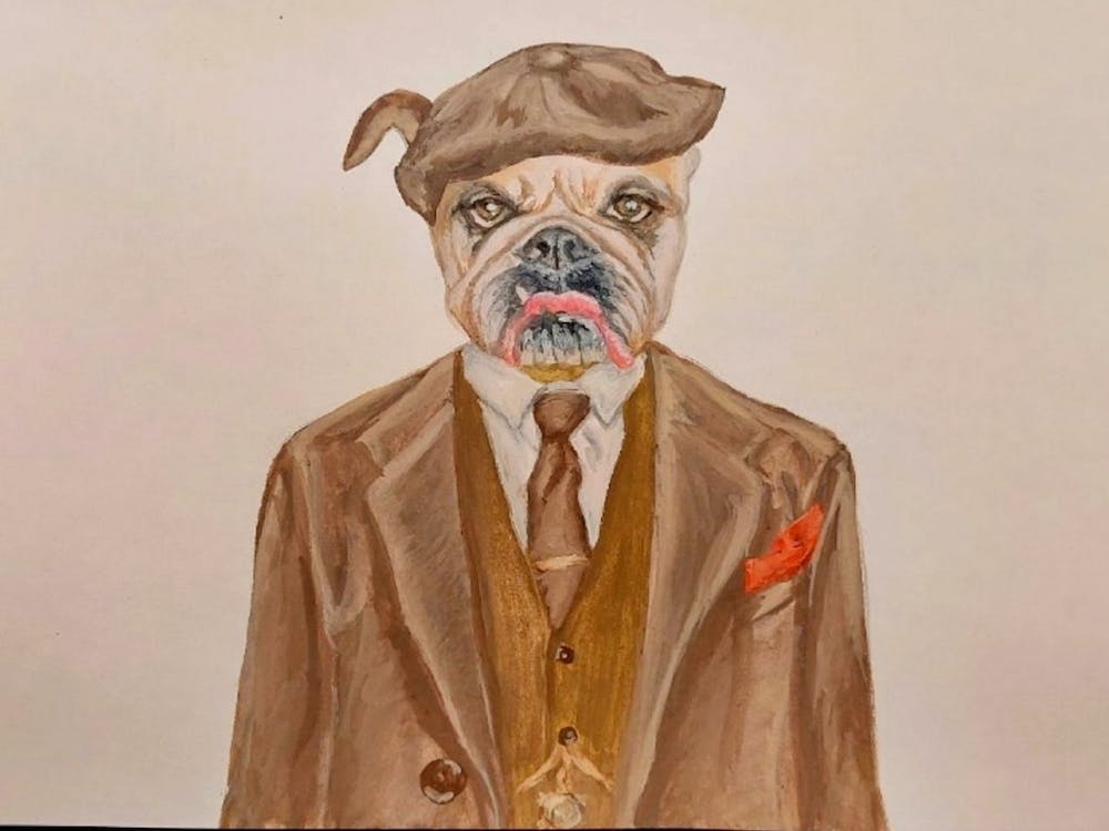 Fashionable Dog With A Cap