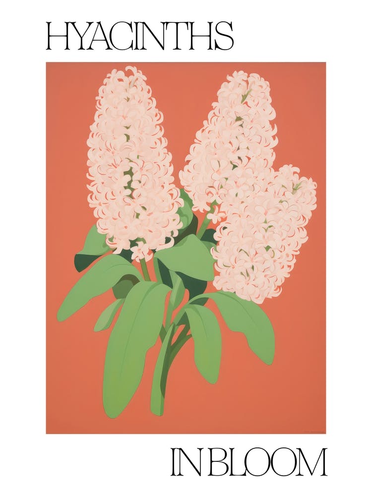 Hyacinths In Bloom Flowers Bold Illustration 2