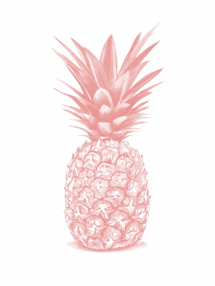 Pink Pineapple Handrawn