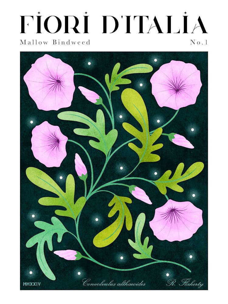 Italienische Blumen: Malven-Zaunwinde