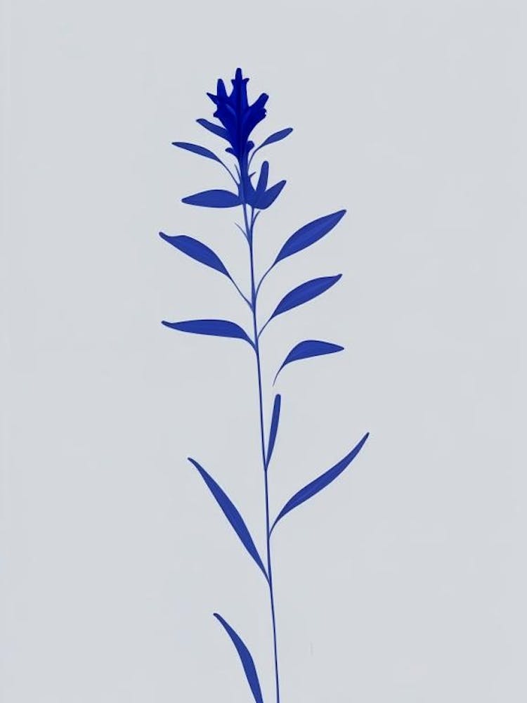 Blue Lobelia Wildflower Simplicity
