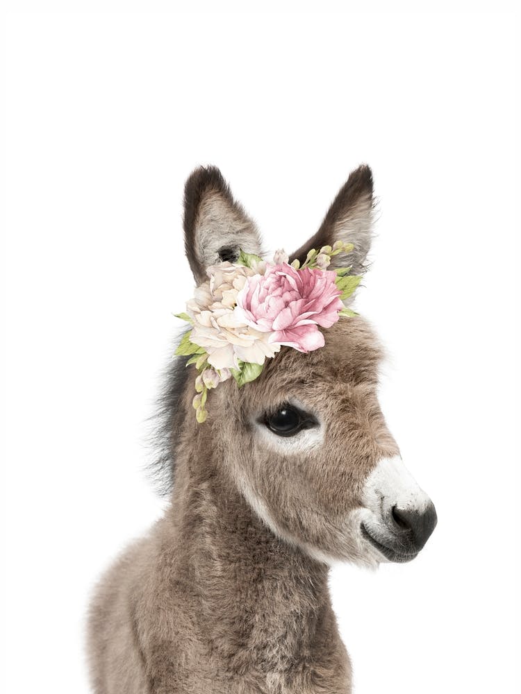 Âne Floral Coucou