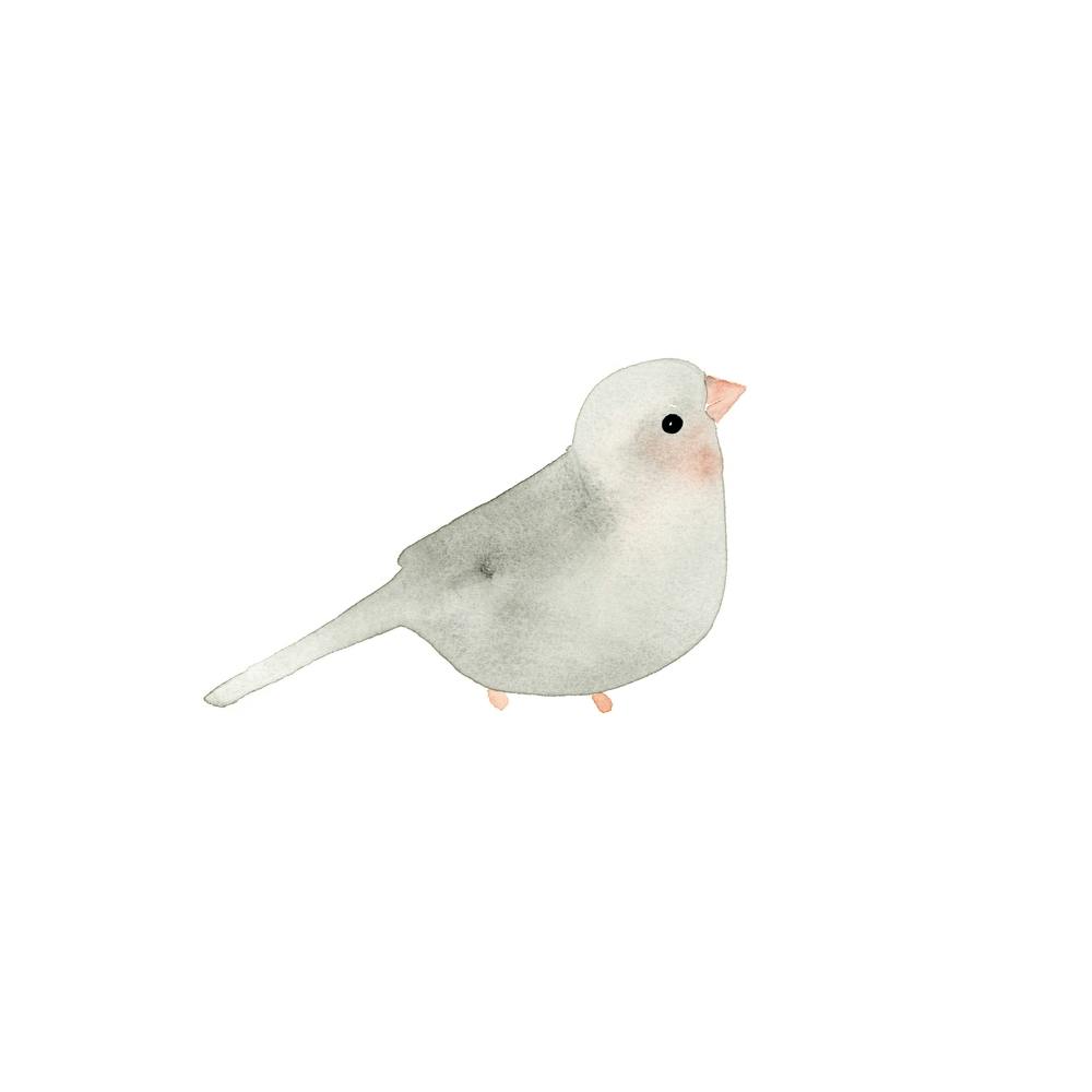 Blushing Bird Grey  Square