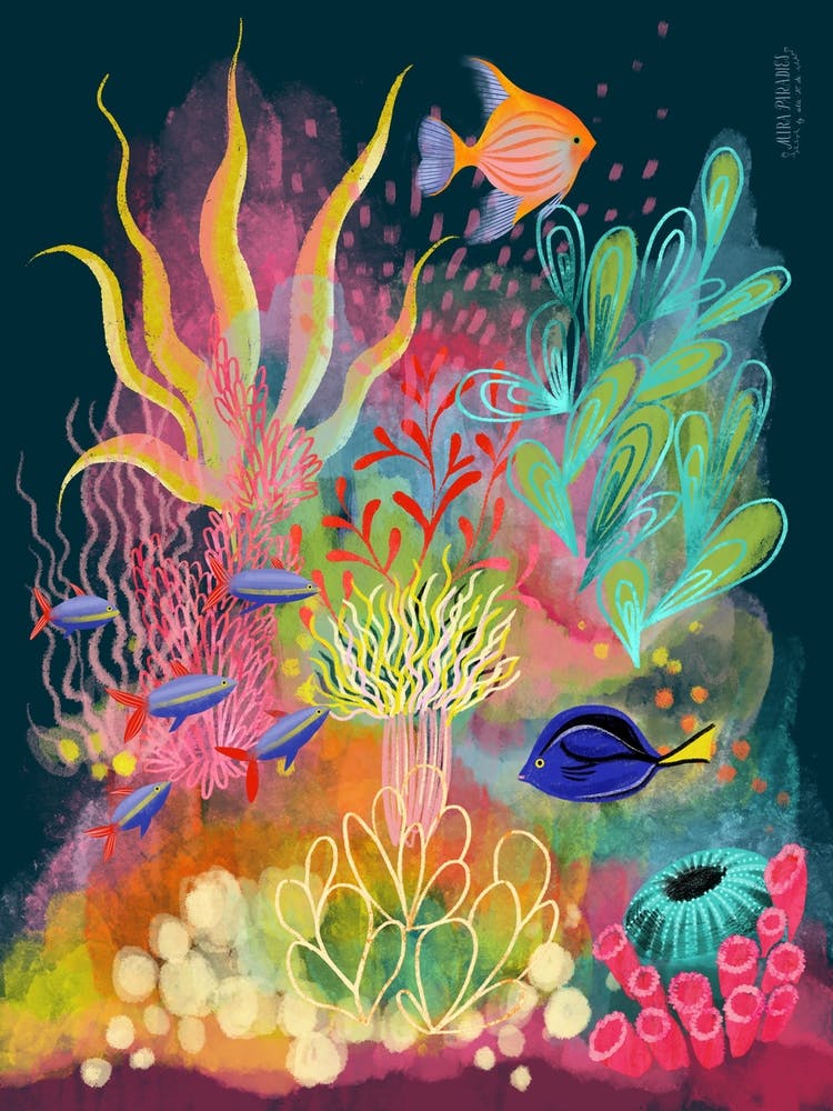 Underwater Colorful Fish Anemones 2