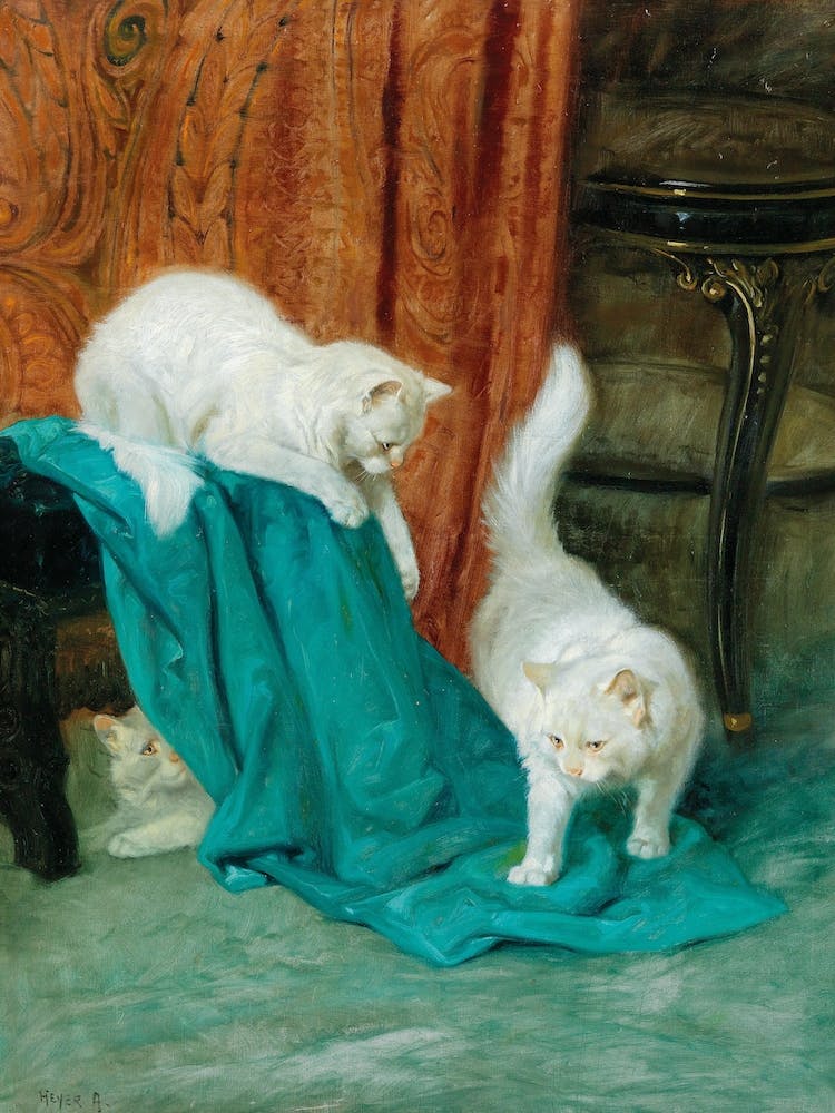 Cats Playing, Arthur Heyer