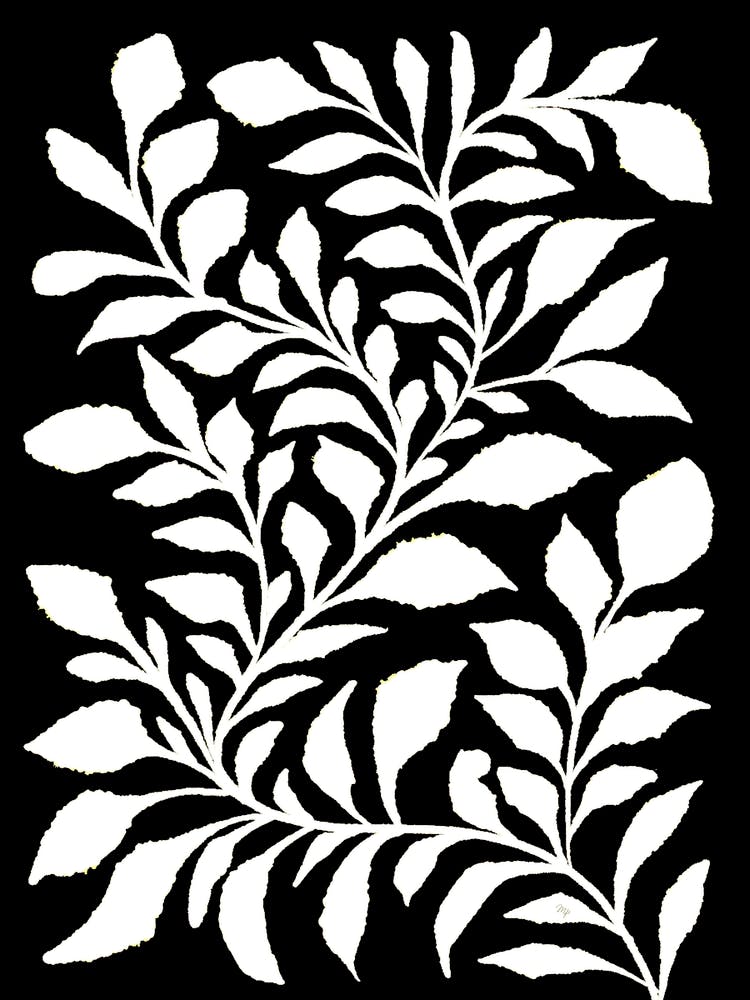 White Snake Plant