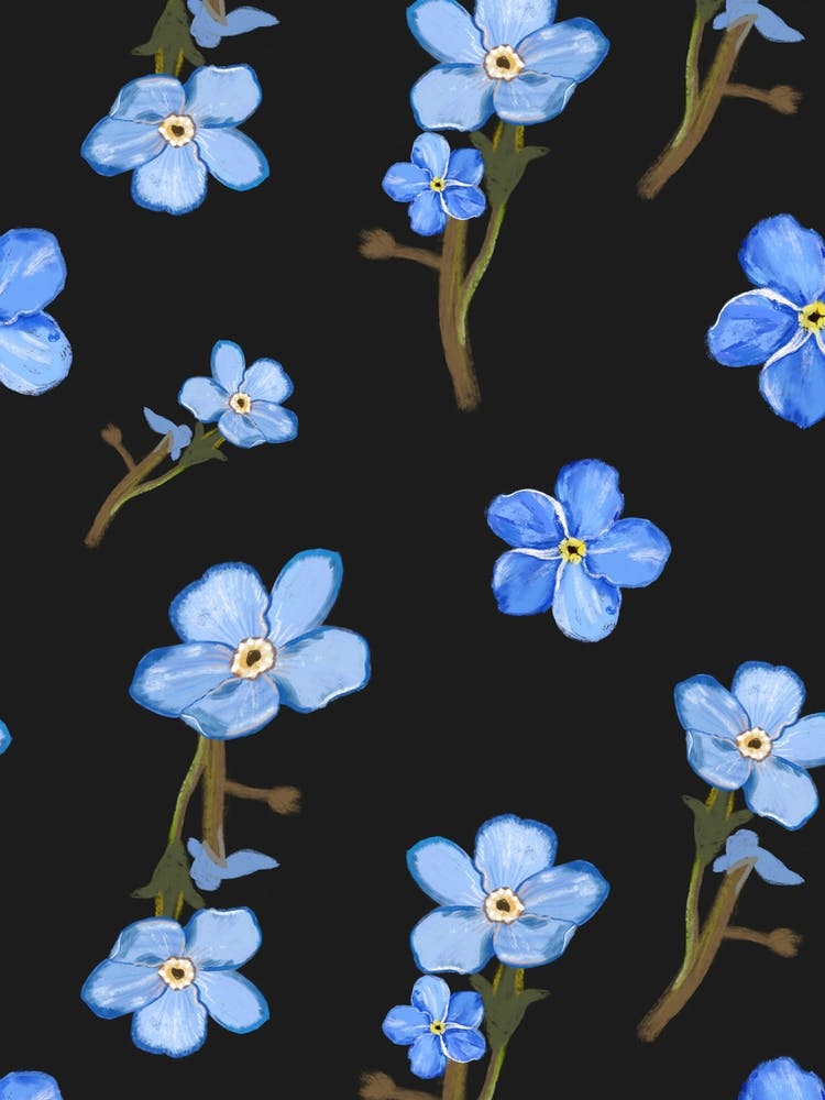 Forget Me Not Flowers