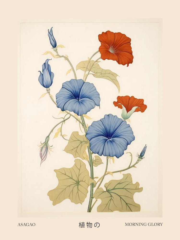 Asagao Morning Glory 1 Vintage Japanese Botanical Poster