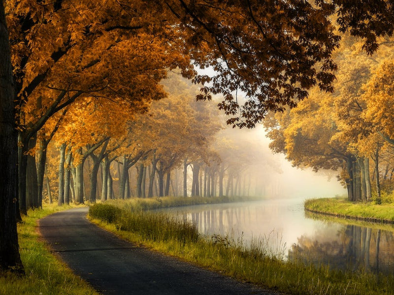 A Calm Morning