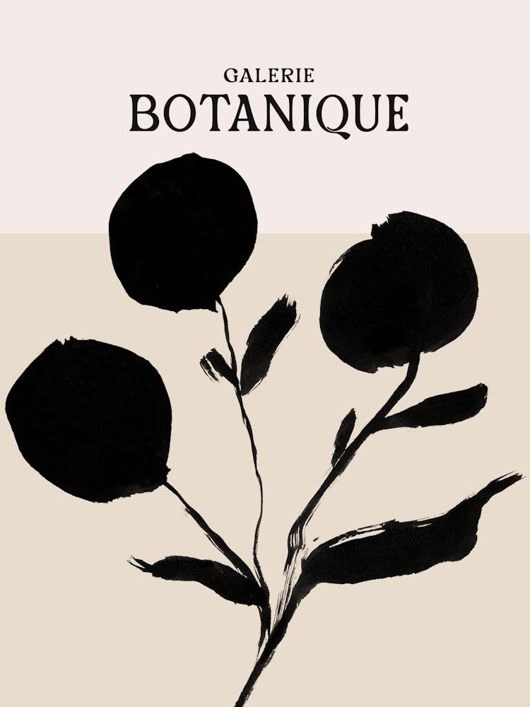 Galerie botanique no 8