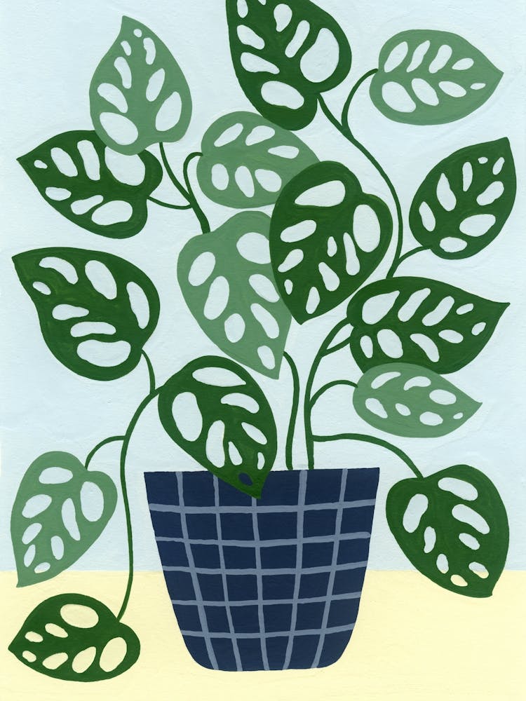 Monstera Obliqua Houseplant Painting