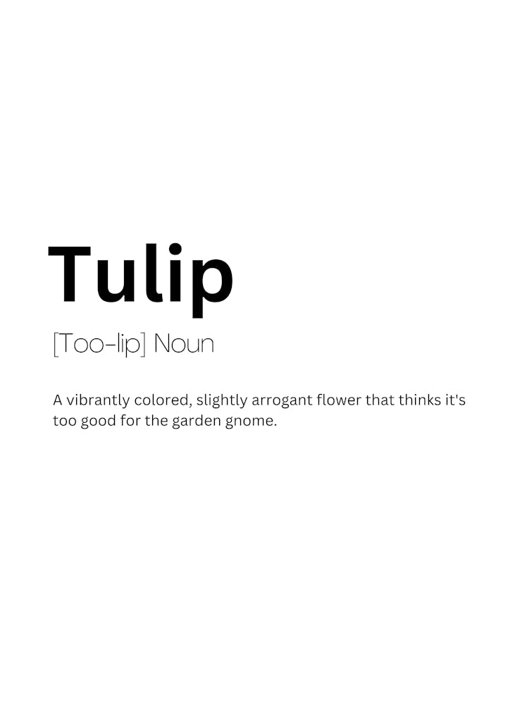 Tulip Definition Meaning