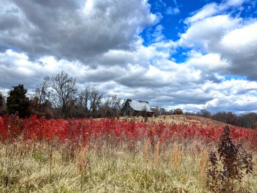 Barn In The Field On Westphalia In Autumn