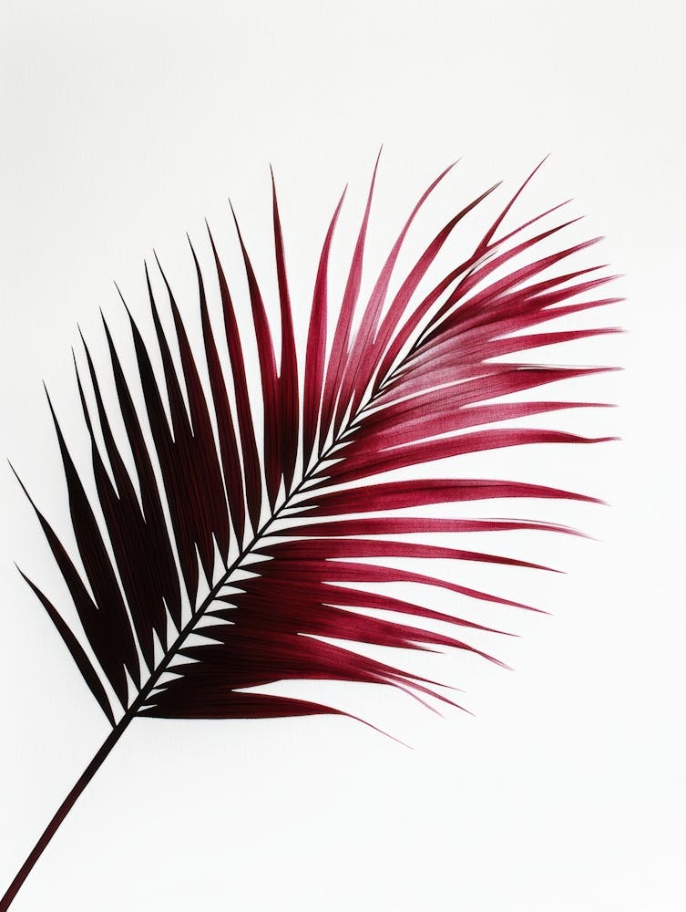Palm Leaf 12