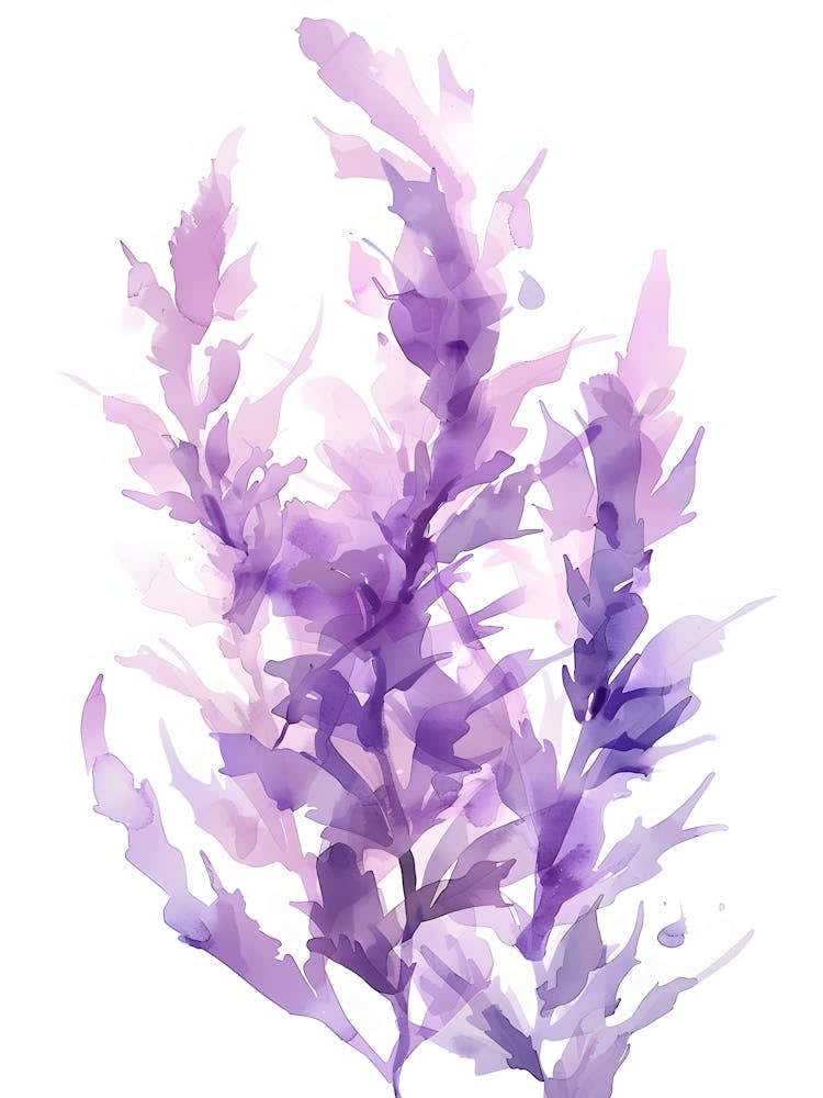 Watercolor Seaweed Illustration 1