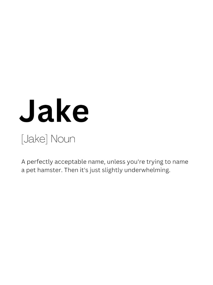 Jake Definition Meaning