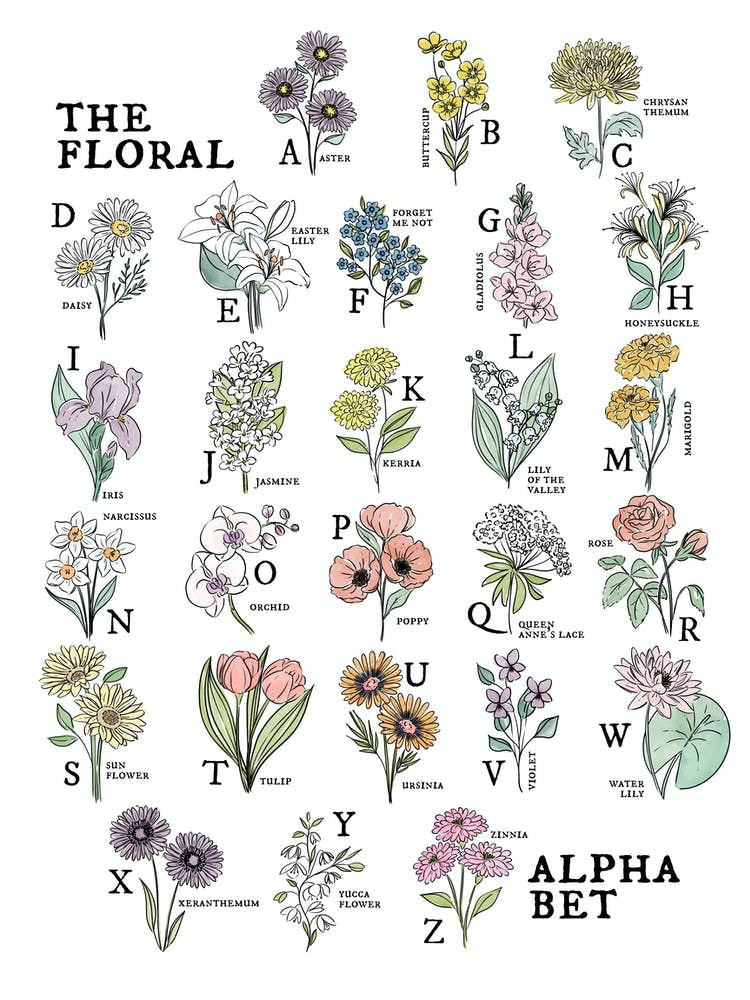 The Floral Alphabet Watercolor 