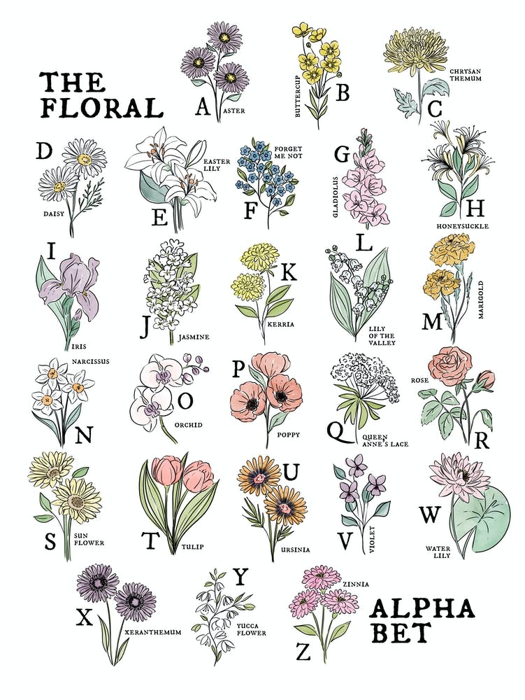The Floral Alphabet Watercolor 