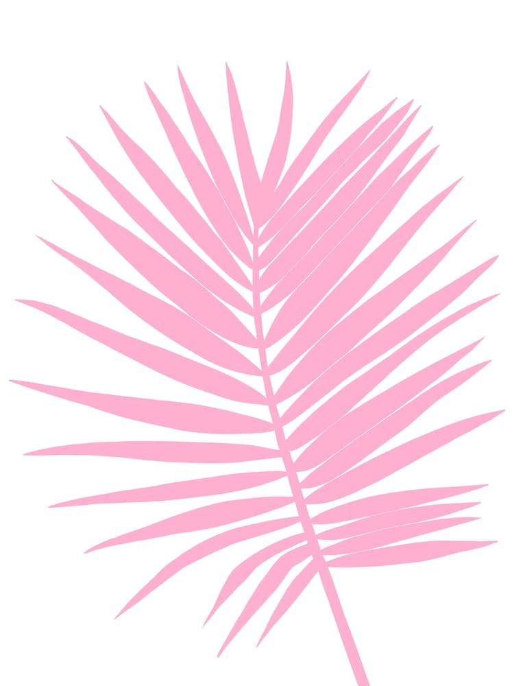 Pink Palm Leaf