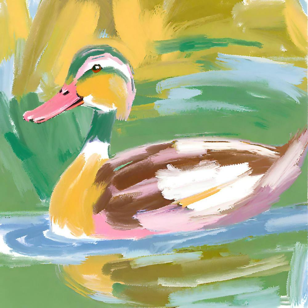 Duck 11