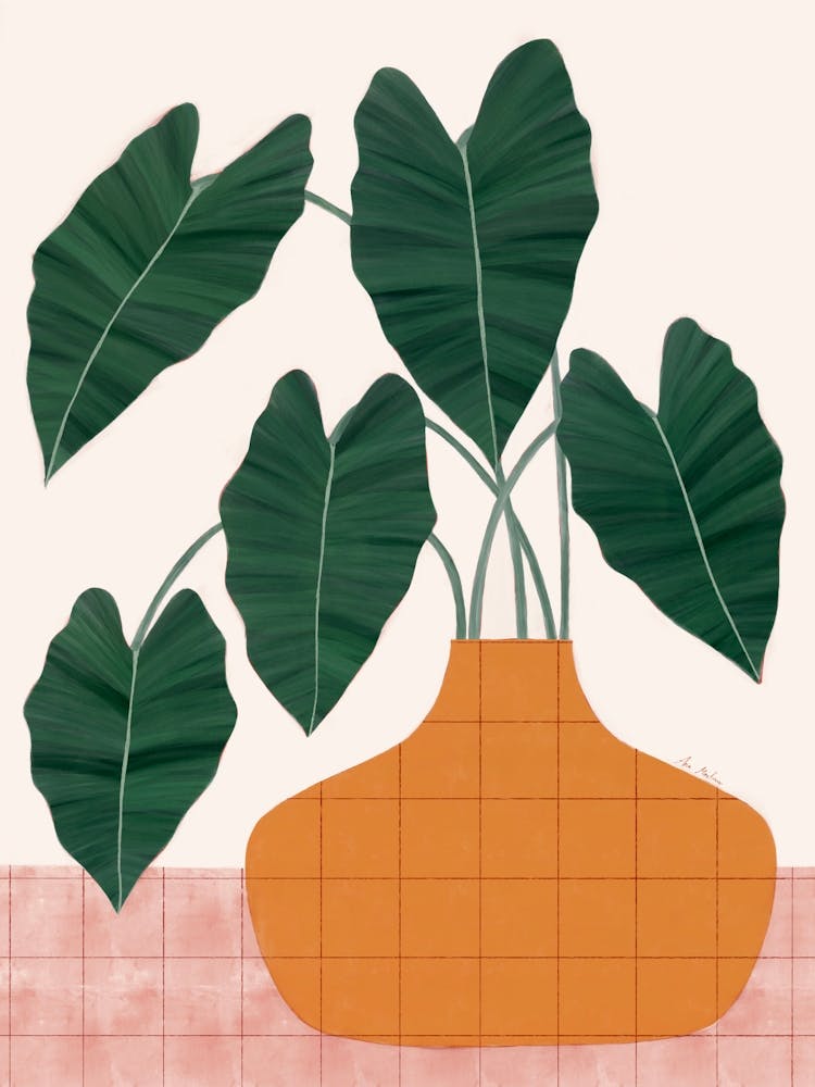 Plante en pot