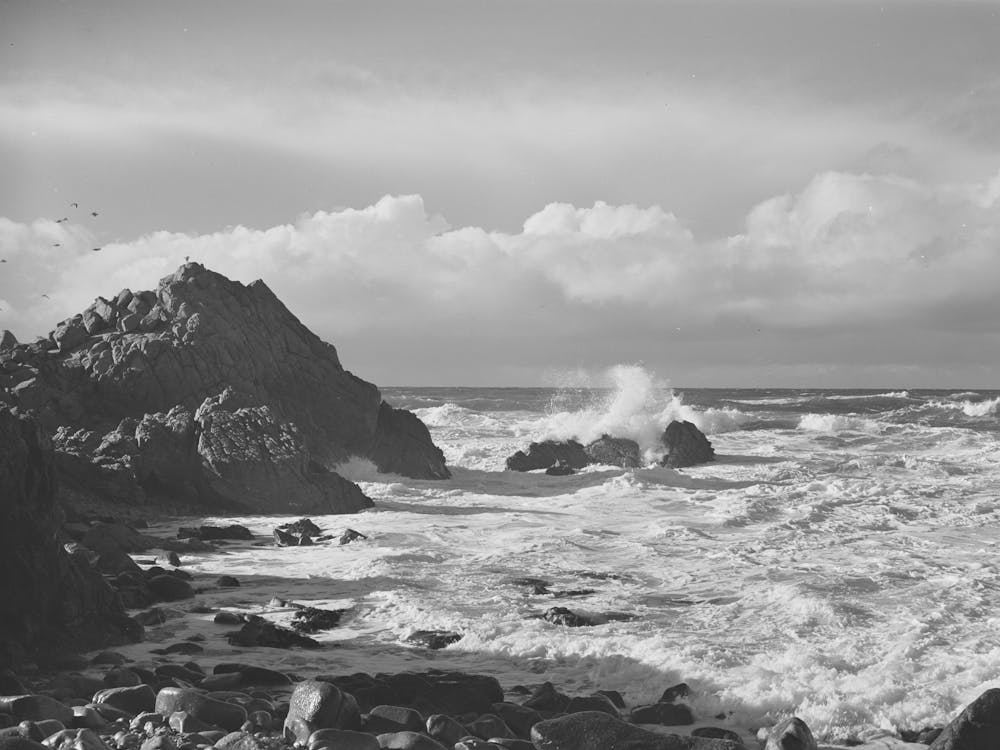 Monterey County, California, Pacific Ocean By Russell Lee