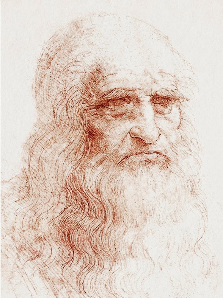  Self Portrait, Leonardo Da Vinci