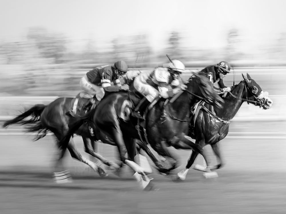 Horse Racing At Queen's Plate
