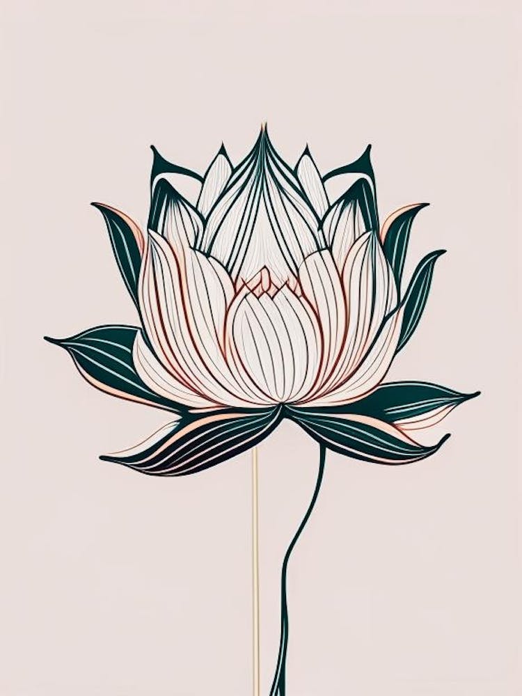 Lotus Flower Pattern Minimal Line Drawing 4