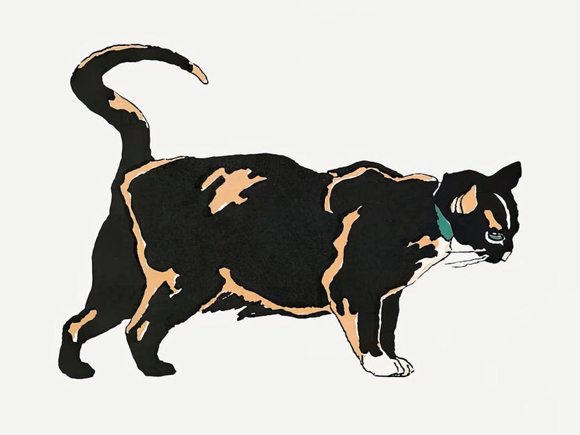 Vintage Black Cat, Edward Penfield