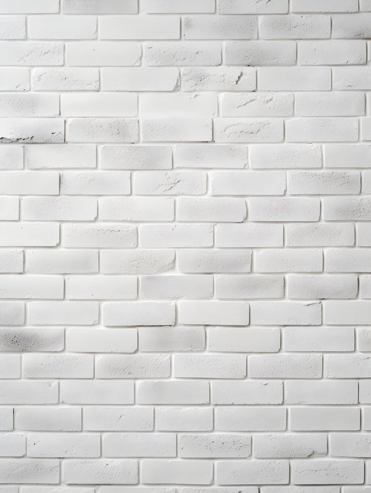 Mur de Briques Blanc