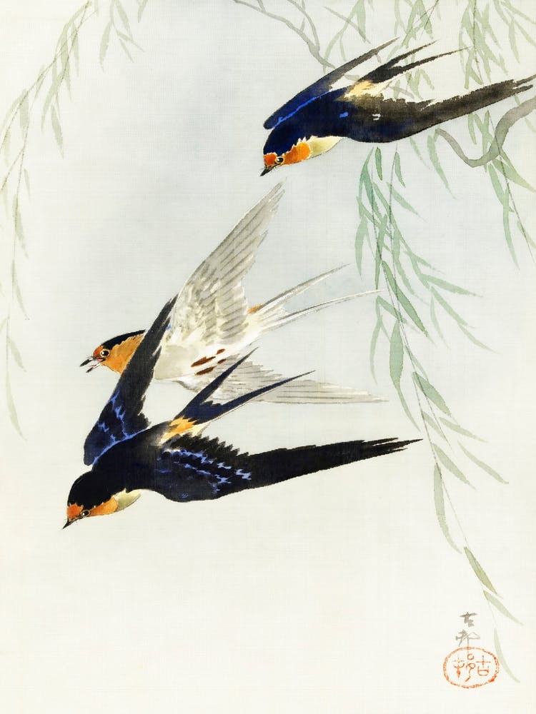 Drei Vögel im vollen Flug, Ohara Koson