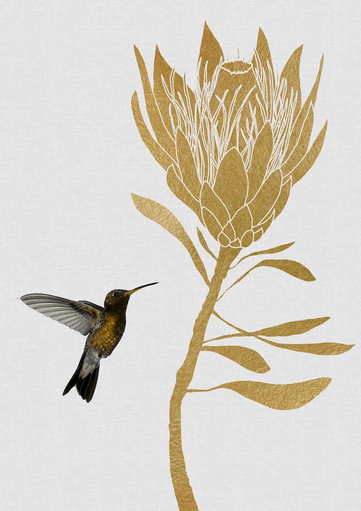 Hummingbird & Flower I