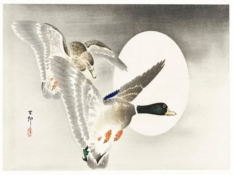 Two Ducks At Full Moon (1900 1930), Ohara Koson