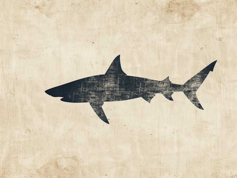 Mako Shark Grey Silhouette 3