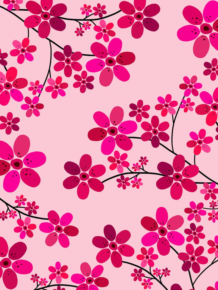 Cherry Blossom | 09