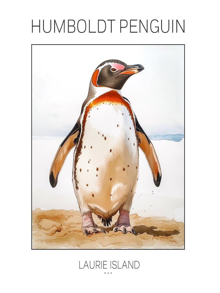 Humboldt Penguin Laurie Island Watercolour Painting 1 Poster