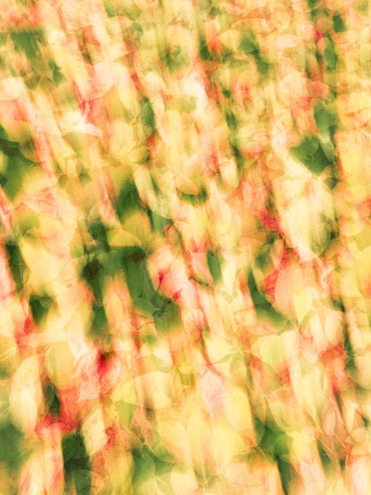 Tapis Abstrait de Feuilles d'Automne