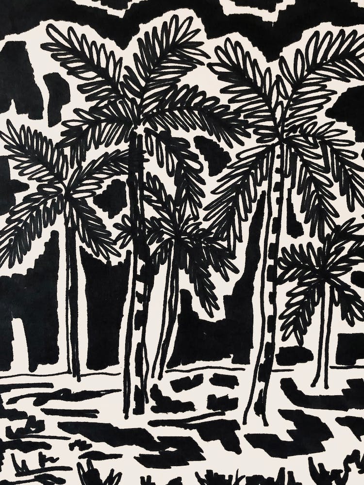 Palm Trees