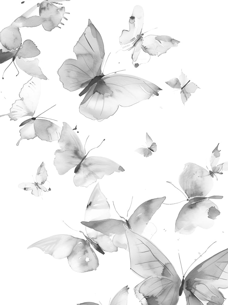 Butterflies In Flight 1