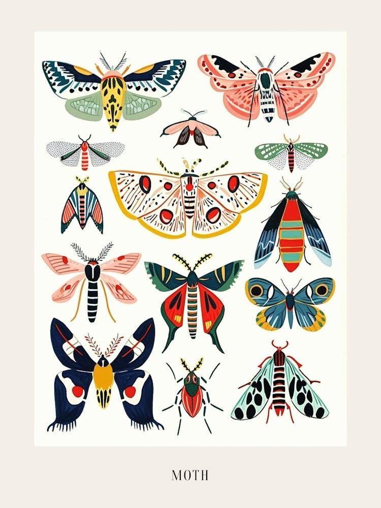 Colourful Insect Illustration Moth 19 Poster