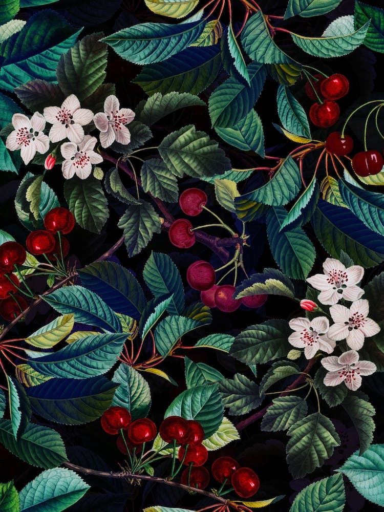 Cherry Blossoms Night Garden