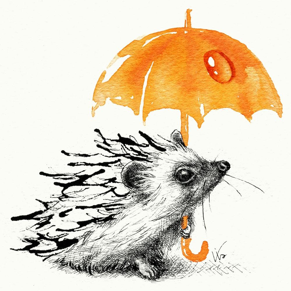 Today’s Rain Is Tomorrow’s Whisky Square