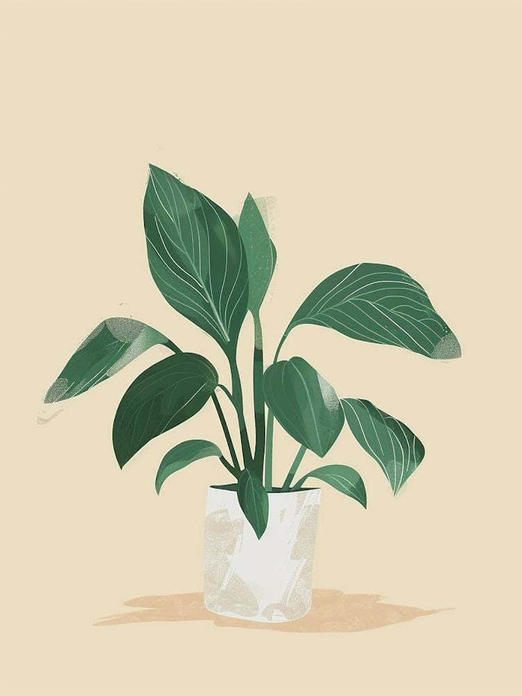 Hosta Plant Minimalist Illustration 7